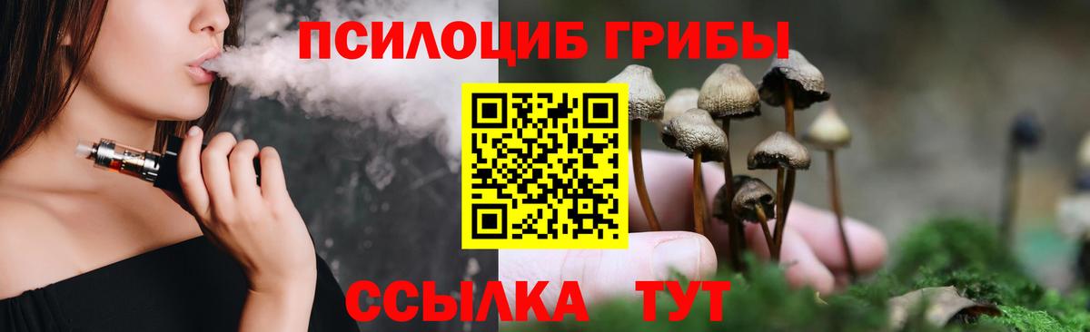 Псилоцибиновые грибы ЛСД Абинск